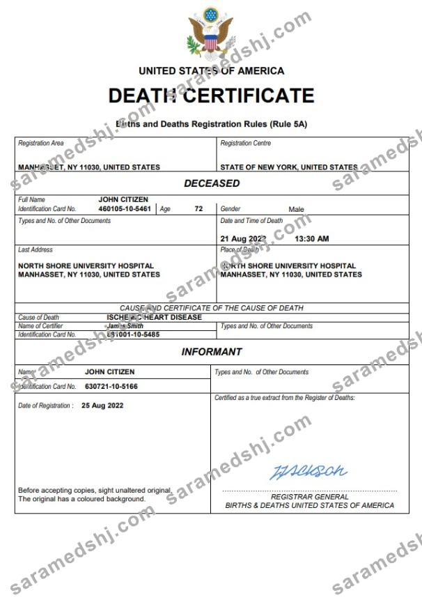 USA vital record death certificate Word and PDF template
